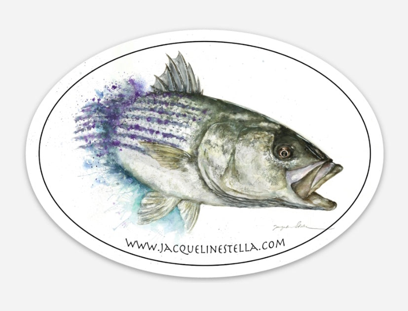 Chasing striped bass weather proof Oval Vinyl decal/Sticker –