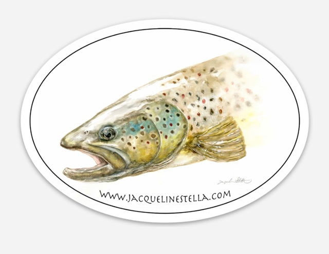 Brown Trout weather proof Oval Vinyl decal/Sticker