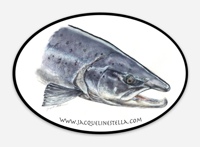 Atlantic Salmon weather proof Oval Vinyl decal/Sticker