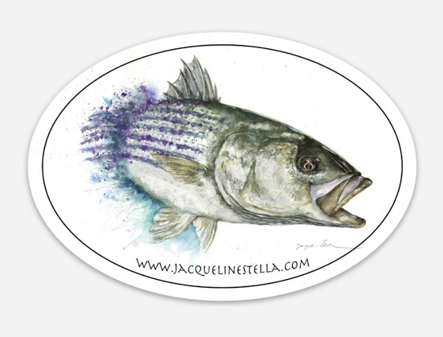 Chasing striped bass weather proof Oval Vinyl decal/Sticker
