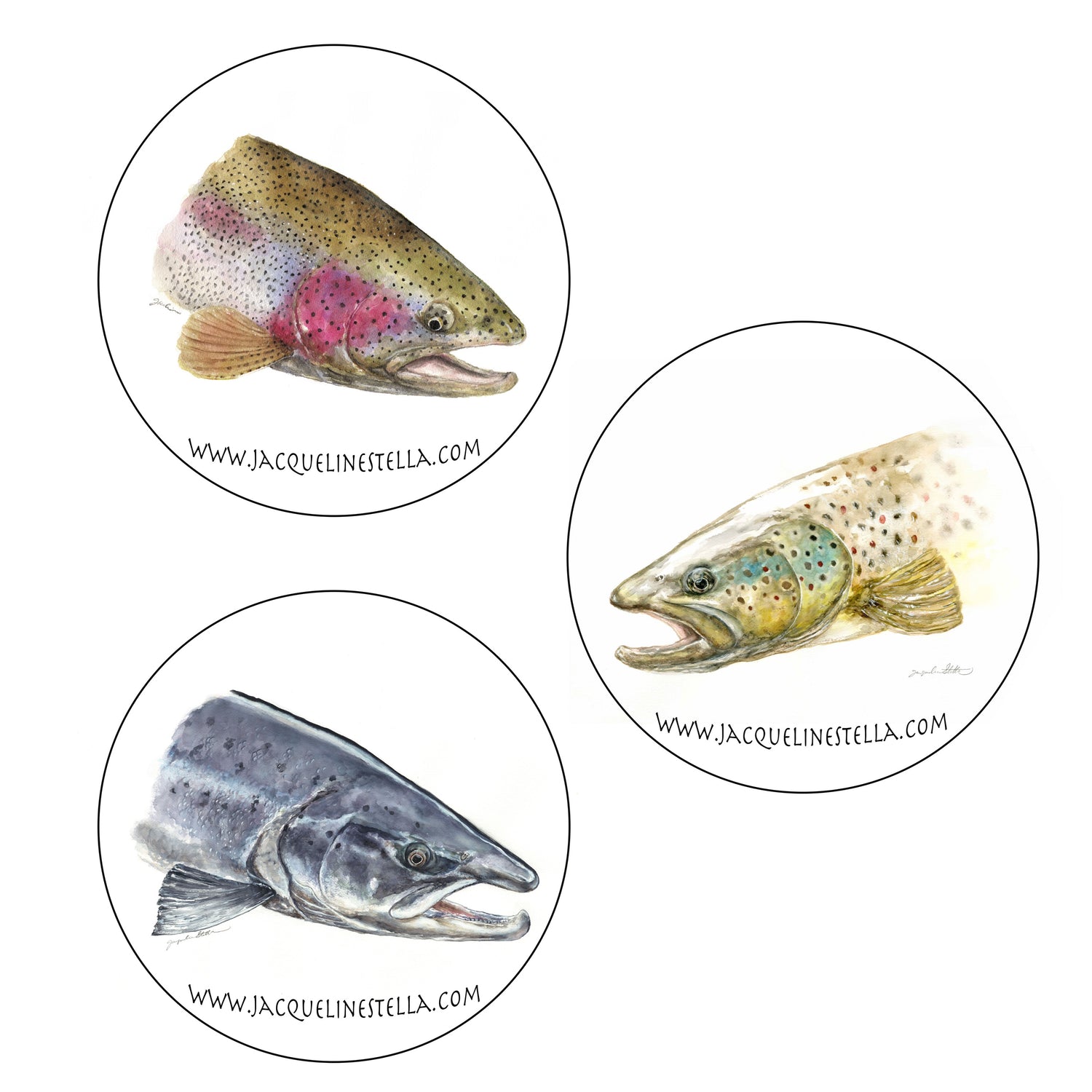 6-piece Brown trout/Rainbow trout/Atlantic Salmon coaster set