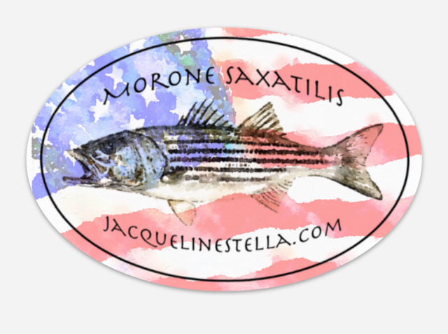 American Patriotic Striper, Morone Saxatilis, weather proof Oval Vinyl decal/Sticker