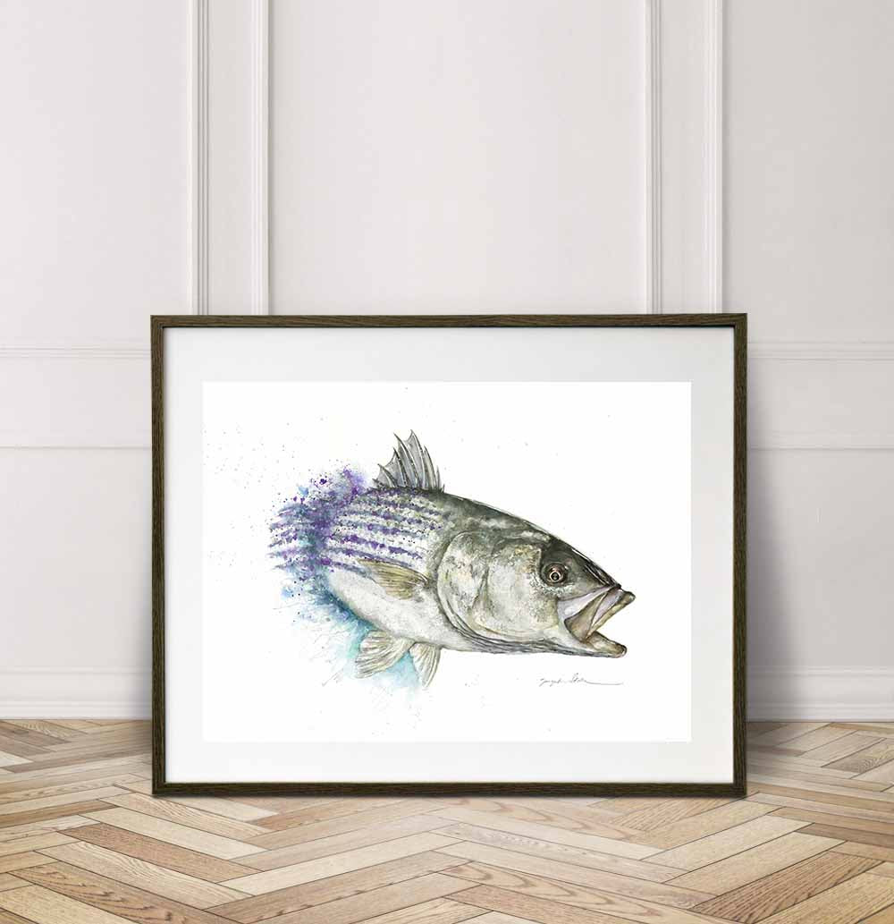 Chasing Striped Bass Watercolor Painting Giclée Fine Art Print
