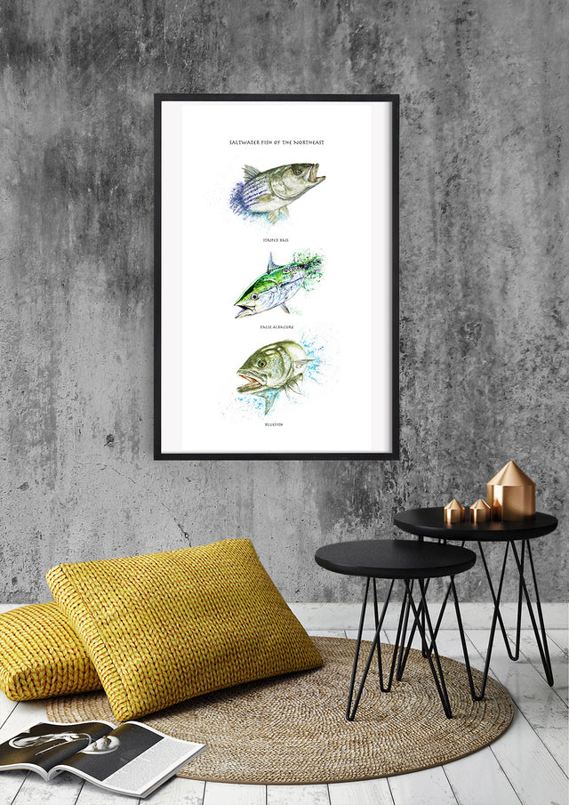 Limited Edition Fine Art Print: Saltwater Fish of the Northeast