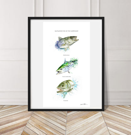 Limited Edition Fine Art Print: Saltwater Fish of the Northeast
